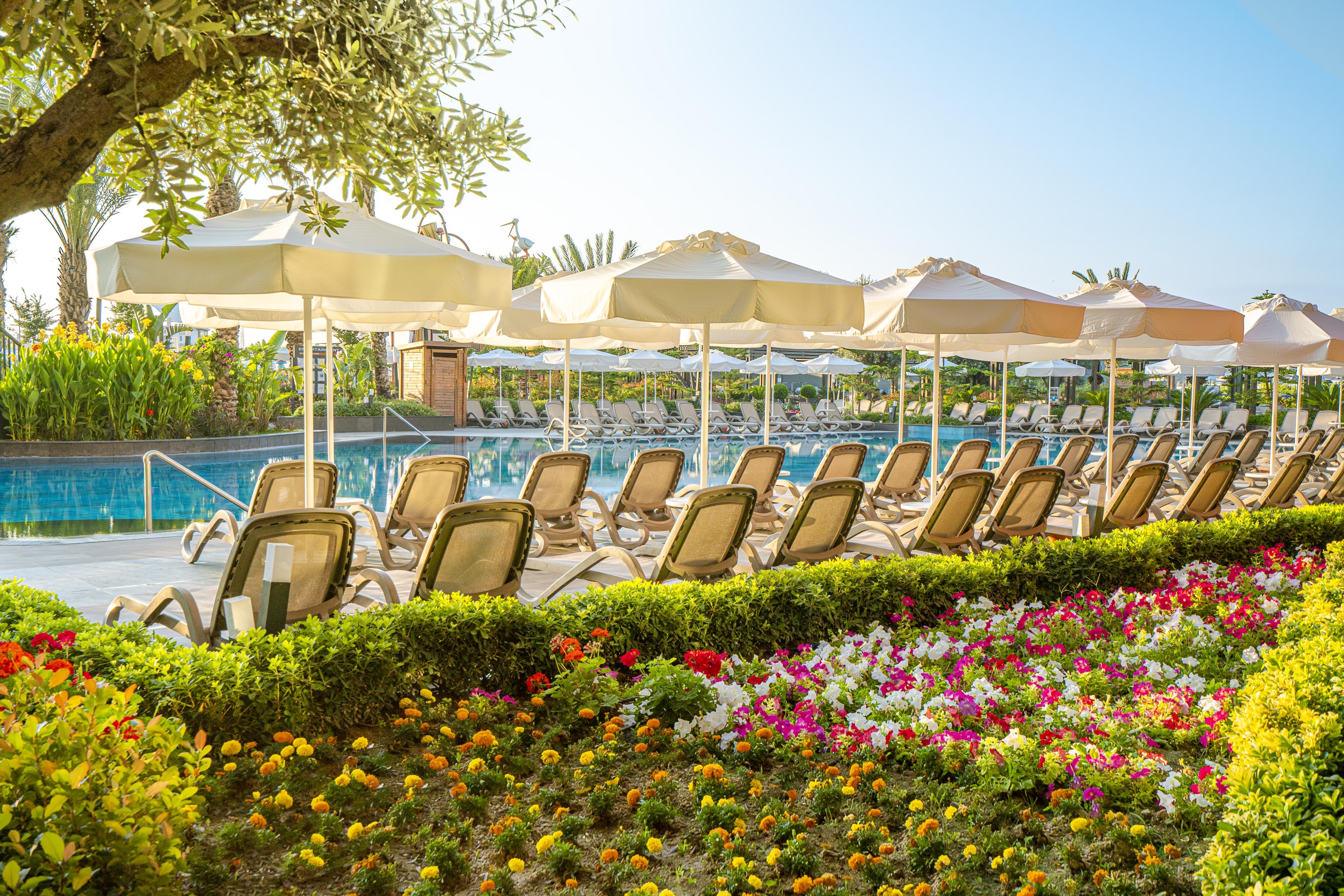 Kirman Hotels Calyptus Resort & Spa